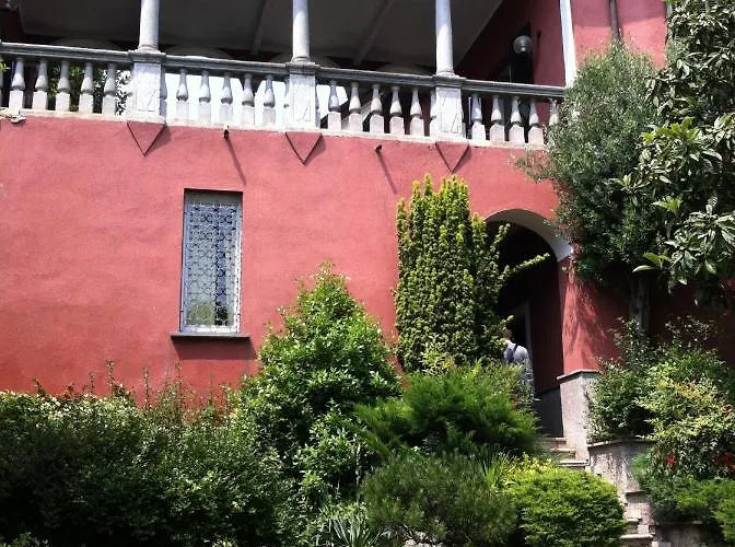 Magnolia Maggiore Besozzo