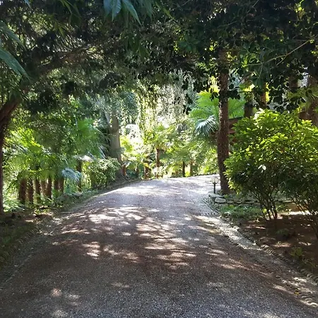 Bed & Breakfast Magnolia Maggiore 3*