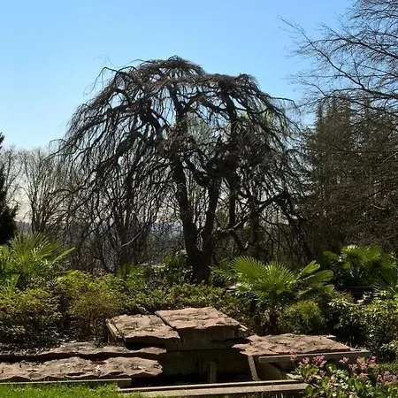 Magnolia Maggiore Nocleg ze śniadaniem *