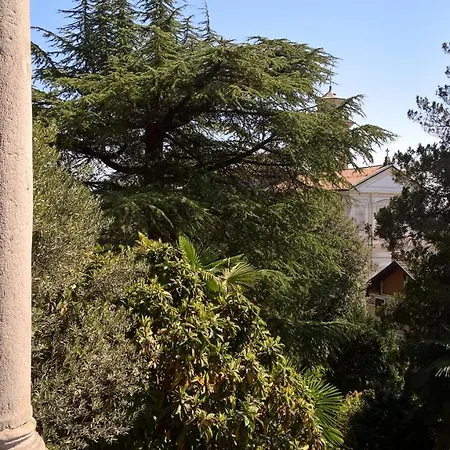 Magnolia Maggiore *