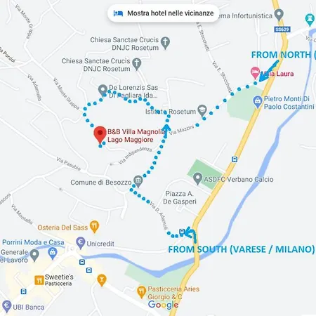 Magnolia Maggiore Besozzo