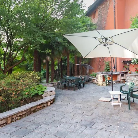 Magnolia Maggiore Besozzo