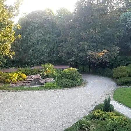 Magnolia Maggiore Besozzo