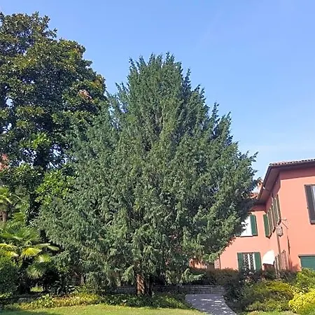 Magnolia Maggiore Bed & Breakfast