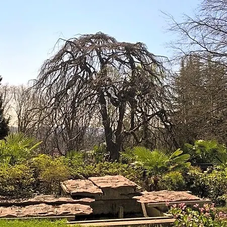 Magnolia Maggiore Bed & Breakfast