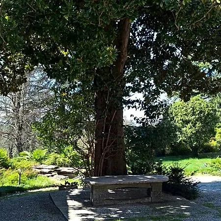 Magnolia Maggiore Bed & Breakfast