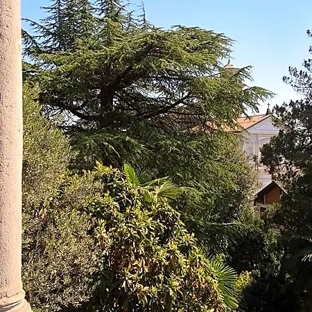 Magnolia Maggiore Besozzo