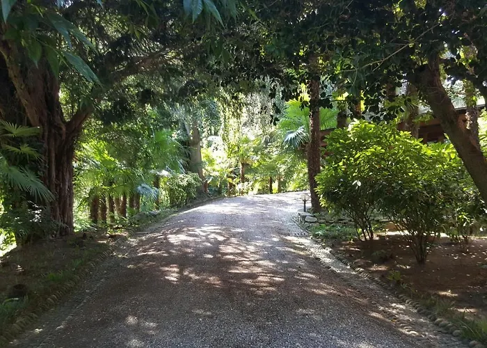 Frühstückspension Magnolia Maggiore 3*