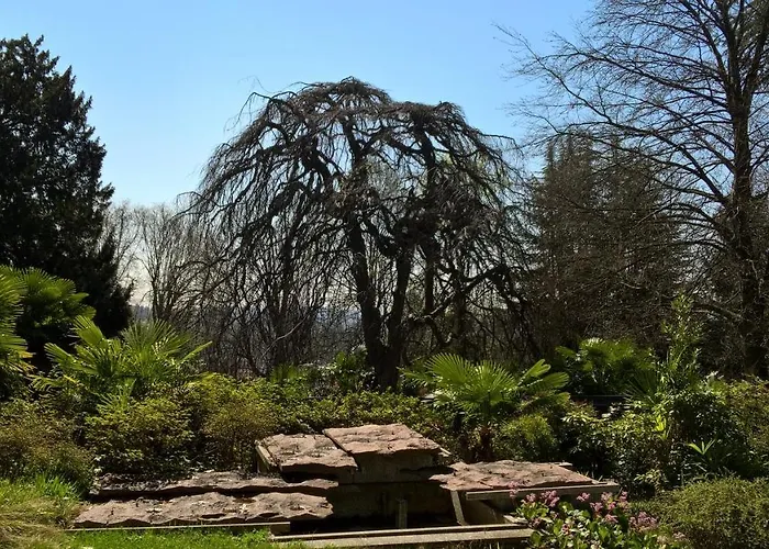 Magnolia Maggiore Bed & Breakfast 3*