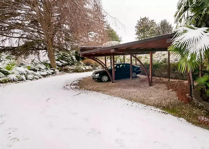 Magnolia Maggiore Besozzo