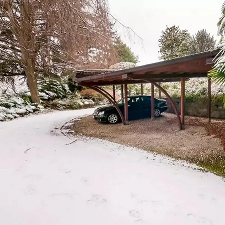 Magnolia Maggiore Besozzo