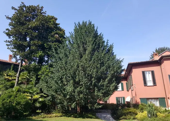 Magnolia Maggiore Nocleg ze śniadaniem 3*